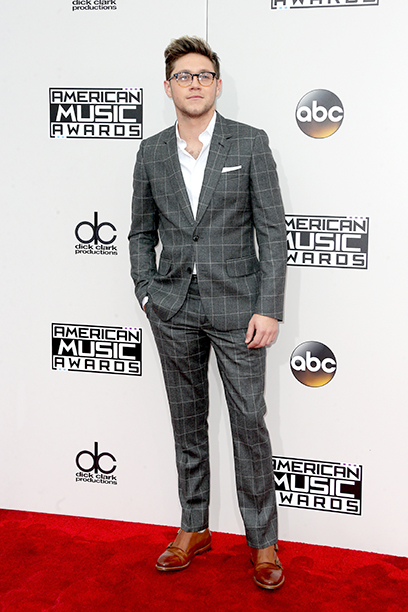 LOS ANGELES, CA - NOVEMBER 20: Recording artist Niall Horan attends the 2016 American Music Awards at Microsoft Theater on November 20, 2016 in Los Angeles, California. (Photo by Frederick M. Brown/Getty Images)