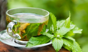 Why green tea is a healthier alternative to other beverages | TheCable.ng
