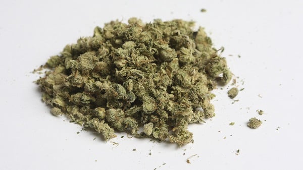 Marijuana use increases risk of death from high blood pressure | TheCable.ng