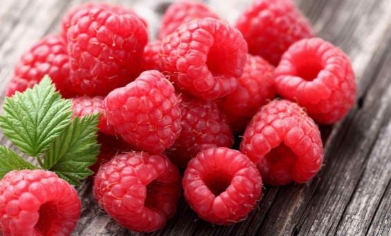 Health benefits of raspberries | TheCable.ng