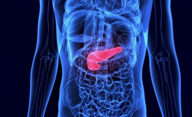 New treatment allows removal of 'inoperable' pancreatic cancer