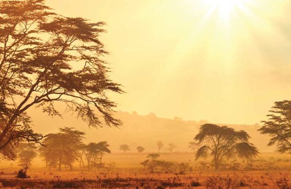 Extreme heatwave to hit one-third of African city-dwellers, experts warn