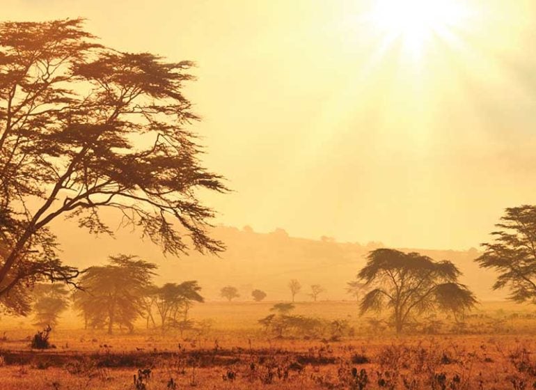 Extreme heatwave to hit one-third of African city-dwellers, experts warn