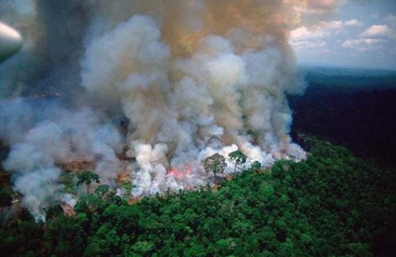 Outrage as fire rips through Brazil's Amazon -- world’s largest rainforest