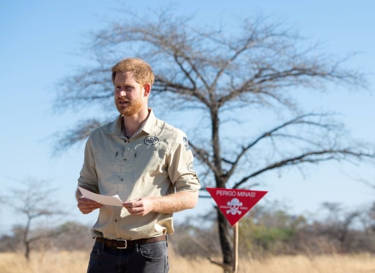 Prince Harry takes over NatGeo's Instagram account in conservation drive for trees