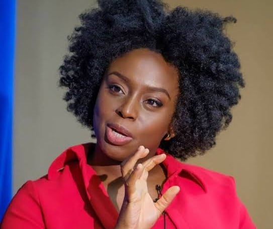Chimamanda Adichie: #MeToo hasn't addressed inequality... domestic work still seen as women's duty