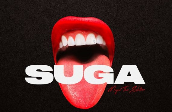 DOWNLOAD: Megan Thee Stallion drops 'Suga' album