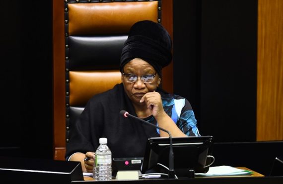 EXTRA: Drama as S'Africa parliament's Zoom meeting is hacked with pornography