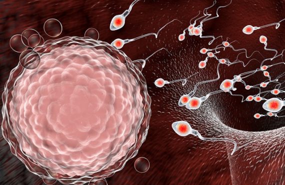Study: COVID-19 found in semen of infected men