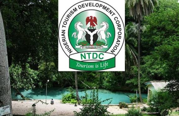 Google, NTDC partner to support tourism industry