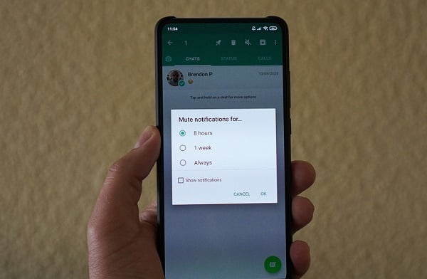 WhatsApp introduces feature allowing users to mute chat forever