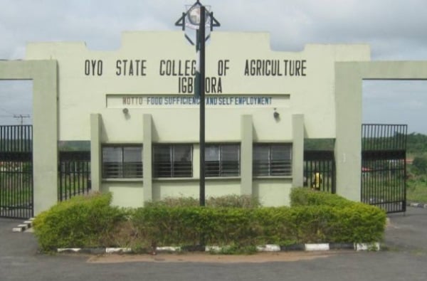 Oyo college postpones exams to Nov 9