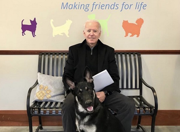 Biden's dog set to become first canine from animal shelter to live in White House