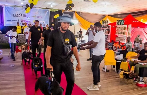 EXTRA: Dogs compete for best dressed as Lagos holds second carnival