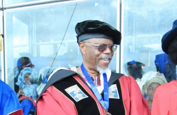 Toyin Falola bags UI's first-ever doctor of letters degree