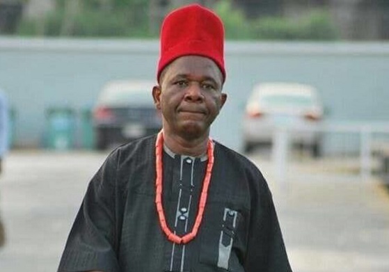 Biafra outfit: DSS has arrested Chiwetalu Agu, says AGN