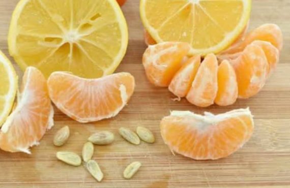 Eat Me: Boosts energy, controls BP... seven benefits of orange seeds
