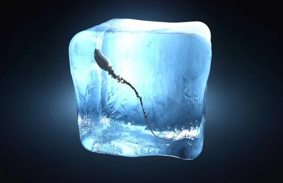 Study: Frozen sperm as good as fresh semen in IVF treatment