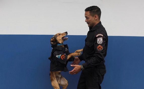 Meet Corporal Oliveira, the police dog turned internet sensation in Brazil