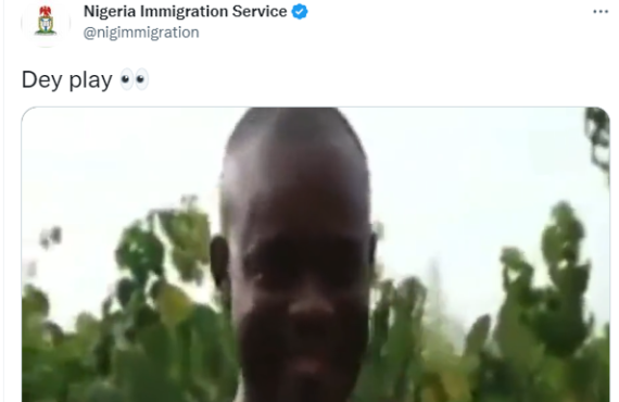 'Get serious' -- reactions as immigration banters on official Twitter page