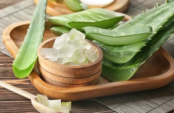 Eat Me: Reduces blood sugar, skincare... five benefits of aloe vera