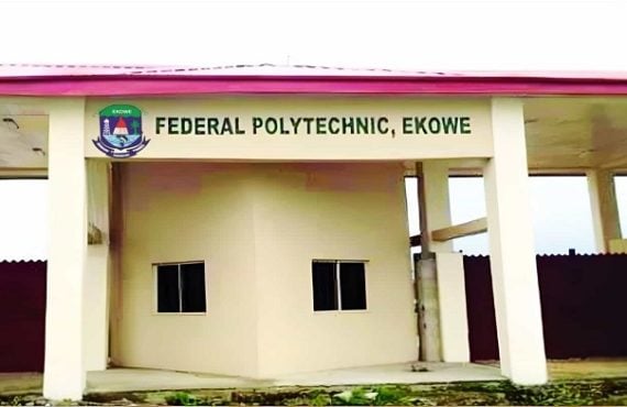 Bayelsa poly lecturers begin strike over 'poor working conditions'