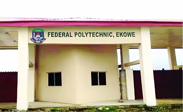 Bayelsa poly lecturers begin strike over 'poor working conditions'