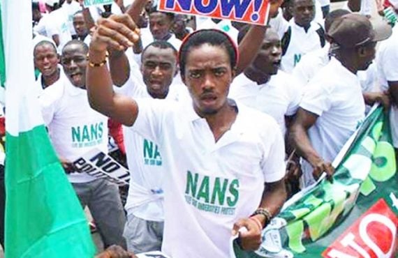 'Polytechnics, colleges should be included' -- NANS calls for review of student loan act