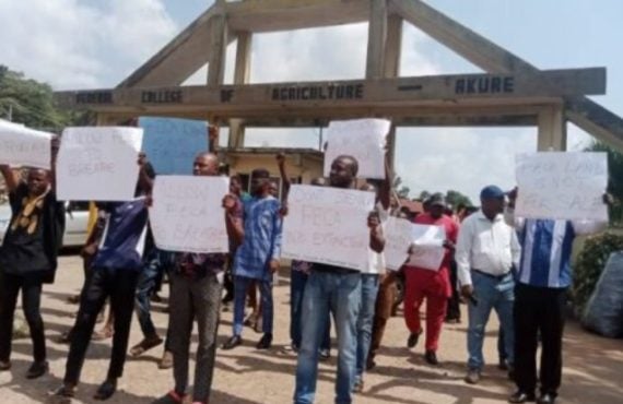 Staff, students of Ondo college protests encroachment by 'land grabbers'