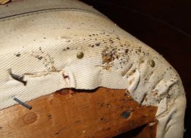 Four Natural Ways To Get Rid Of Bed Bugs