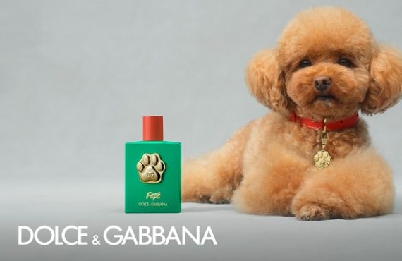 Dolce & Gabbana's perfume for dogs