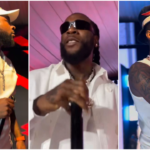 WATCH: Wizkid, Burna Boy, Davido thrill guests at Elumelu's all-white party