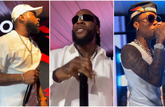 WATCH: Wizkid, Burna Boy, Davido thrill guests at Elumelu's all-white party