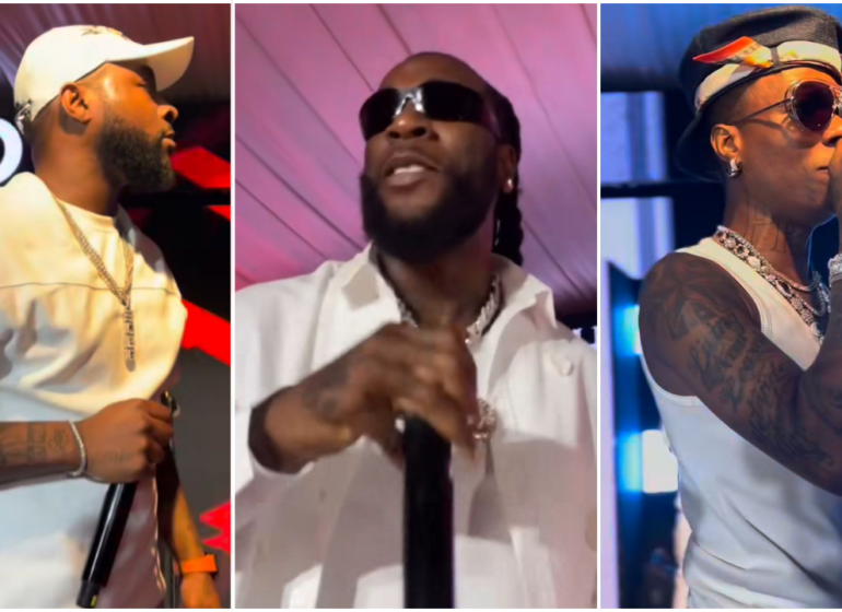 WATCH: Wizkid, Burna Boy, Davido thrill guests at Elumelu's all-white party