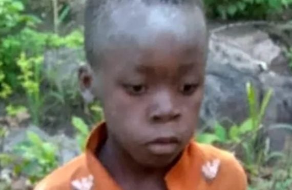 8-year-old boy survives 5 days in lion-inhabited Zimbabwean game park