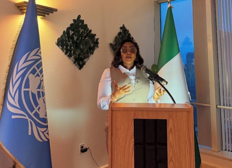 Eniola Badmus under fire over UNGA speech claim