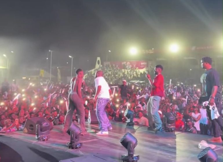 Davido brings fan onstage during energetic ‘5ive’ concert in Yola