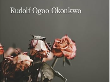 Rudolf Okonkwo releases poetry collection on love, heartbreak